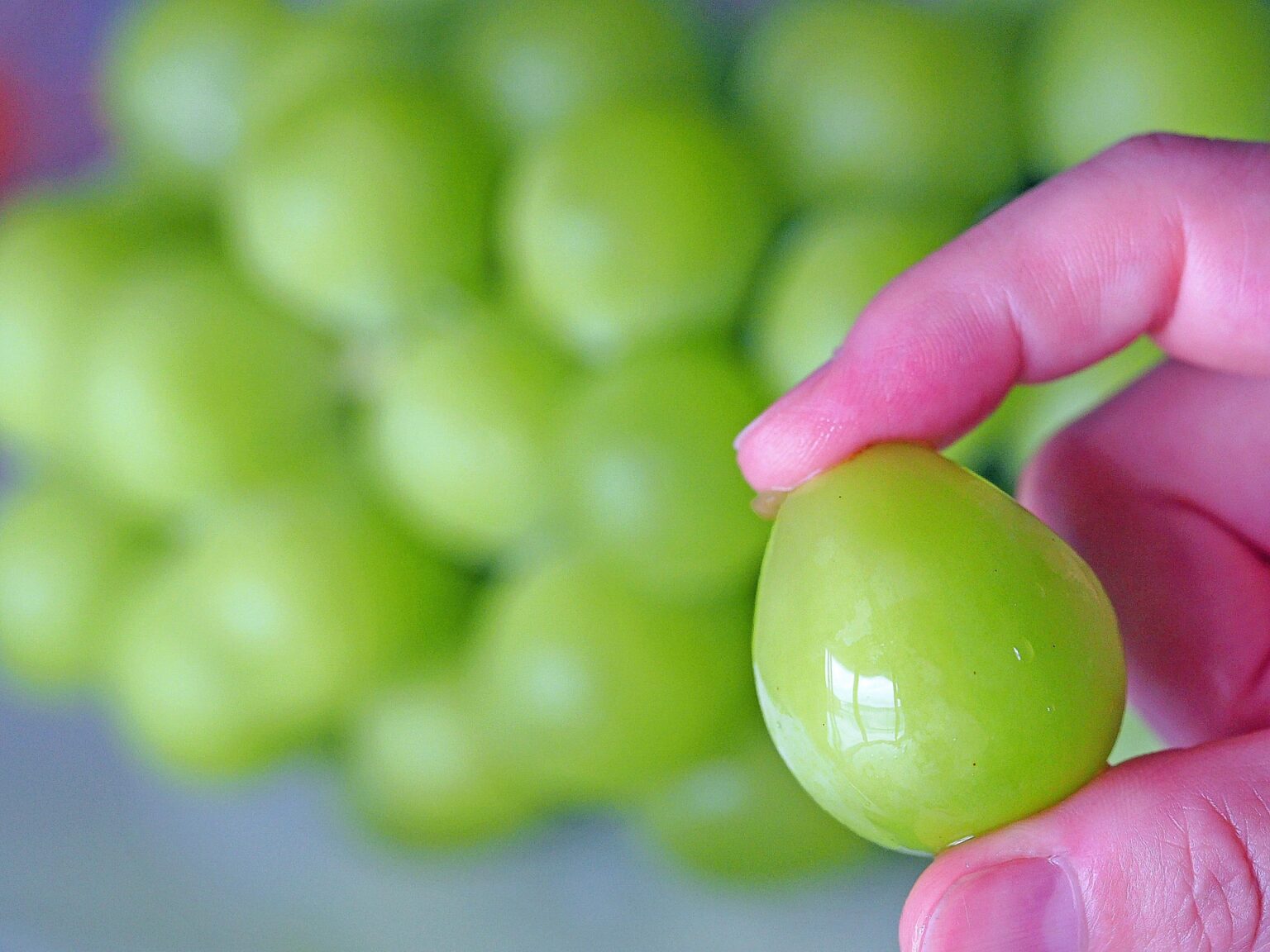 シャインマスカット一粒のカロリーや糖質！栄養素は？ ふーどりんa